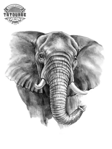 tatouage ephemere elephant Tatouage éphémère éléphant