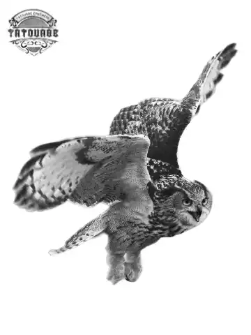 tatouage ephemere hibou realiste Tatouage éphémère hibou réaliste