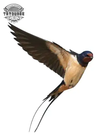 Tatouage éphémère hirondelle réaliste
