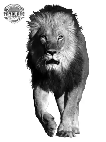 tatouage ephemere lion entier Tatouage éphémère lion entier