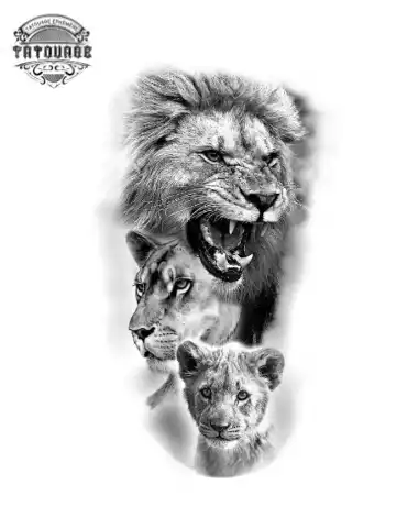 tatouage ephemere lion famille Tatouage éphémère lion famille