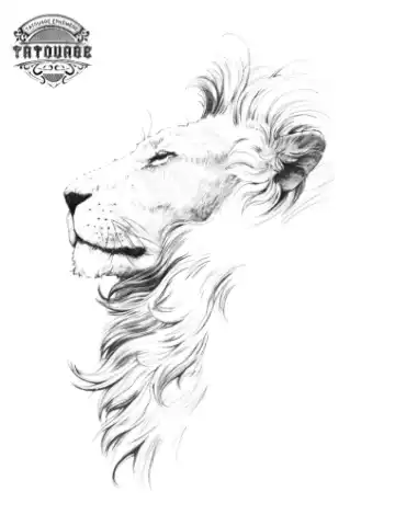 tatouage ephemere lion profil Tatouage éphémère lion profil