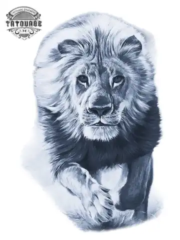 tatouage ephemere lion savane Tatouage éphémère lion savane