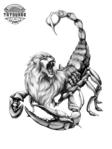 tatouage ephemere lion scorpion Tatouage éphémère lion scorpion