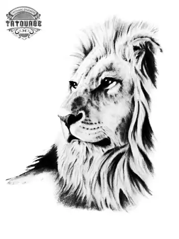tatouage ephemere lion Tatouage éphémère lion