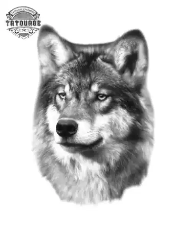 tatouage ephemere loup realiste Tatouage éphémère loup réaliste