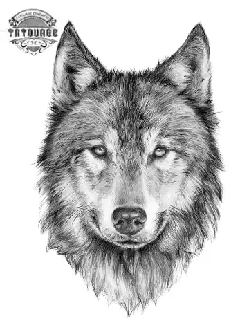 tatouage ephemere loup solitaire Tatouage éphémère loup solitaire