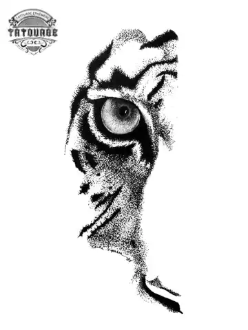 tatouage ephemere oeil tigre Tatouage éphémère œil tigre