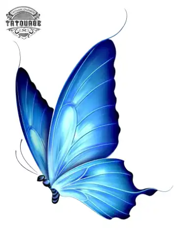 tatouage ephemere papillon bleu Tatouage éphémère papillon bleu