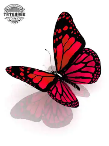 tatouage ephemere papillon en relief Tatouage éphémère papillon en relief