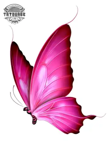 Tatouage éphémère papillon girly