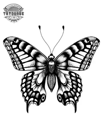 tatouage ephemere papillon noir et gris Tatouage éphémère papillon noir et gris