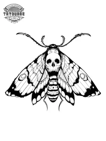 Tatouage éphémère papillon nuit