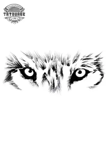 tatouage ephemere regard loup Tatouage éphémère regard loup