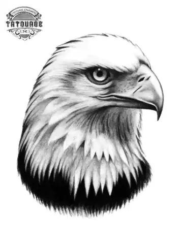 tatouage ephemere tete aigle Tatouage éphémère tête aigle