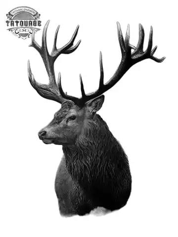 Tatouage éphémère tête cerf