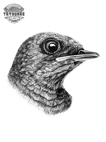 tatouage ephemere tete hirondelle Tatouage éphémère tête hirondelle