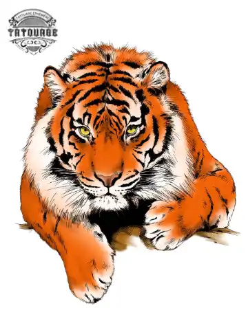 tatouage ephemere tigre du bengale Tatouage éphémère tigre du bengale