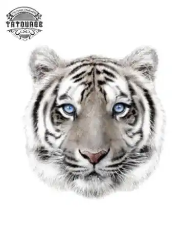 tatouage ephemere tigre yeux bleu Tatouage éphémère tigre yeux bleu