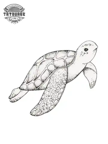 Tatouage éphémère tortue petit
