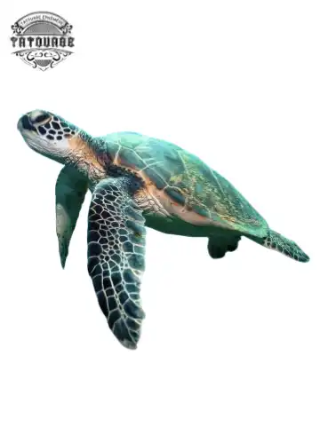 tatouage ephemere tortue realiste Tatouage éphémère tortue réaliste