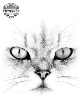 tatouage ephemere yeux chat Tatouage éphémère yeux chat