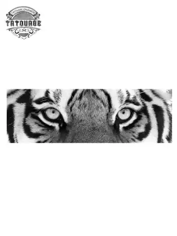 tatouage ephemere yeux tigre Tatouage éphémère yeux tigre