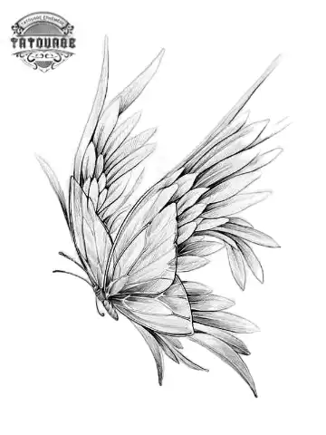 tatouage ephemere aile papillon Tatouage éphémère aile papillon