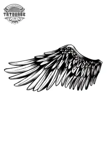 tatouage ephemere ailes colombe Tatouage éphémère ailes colombe