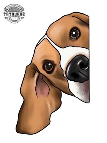 tatouage ephemere chien beagle Tatouage éphémère chien beagle