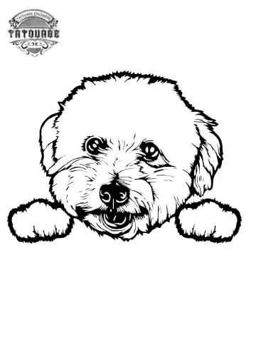 tatouage ephemere chien bichon Tatouage éphémère chien bichon