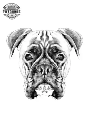 Tatouage éphémère chien boxer