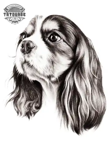tatouage ephemere chien cavalier king charles Tatouage éphémère chien cavalier King charles