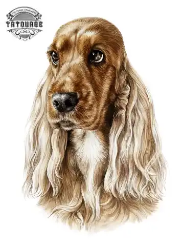 tatouage ephemere chien cocker Tatouage éphémère chien cocker