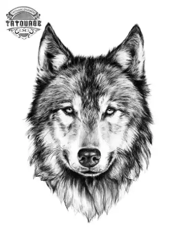 tatouage ephemere chien husky Tatouage éphémère chien husky