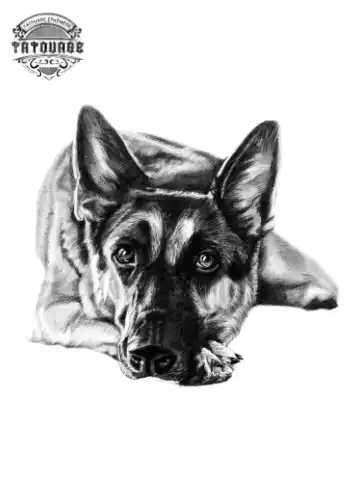tatouage ephemere chien malinois Tatouage éphémère chien malinois