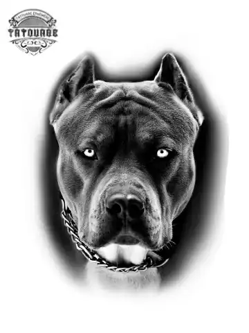 Tatouage éphémère chien noir