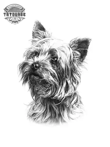 tatouage ephemere chien westie Tatouage éphémère chien westie
