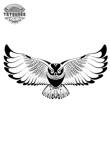 tatouage ephemere chouette en vol Tatouage éphémère chouette en vol