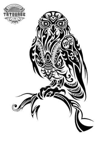 tatouage ephemere chouette sur branche Tatouage éphémère chouette sur branche