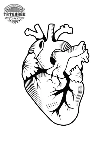 tatouage ephemere coeur organe Tatouage éphémère coeur organe