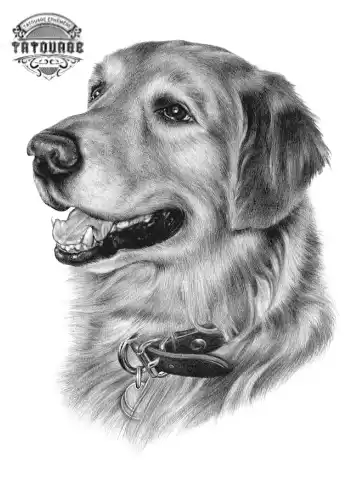 Tatouage éphémère hommage chien
