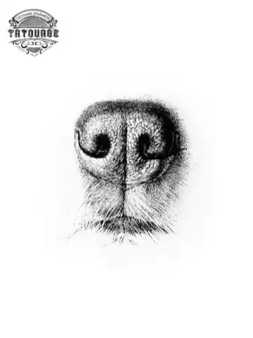 tatouage ephemere museau chien Tatouage éphémère museau chien