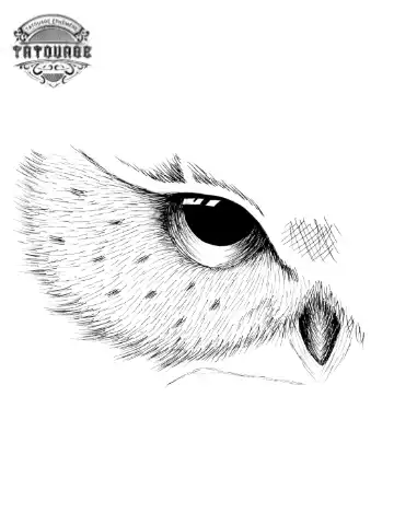 tatouage ephemere oeil hibou Tatouage éphémère œil hibou