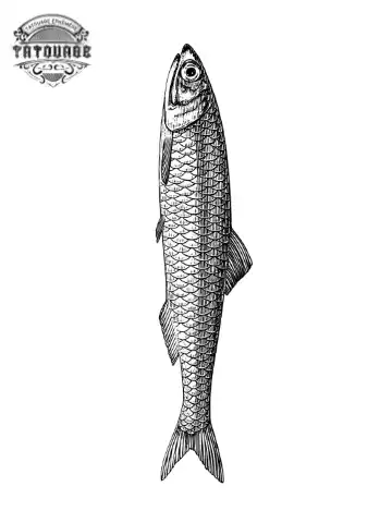 tatouage ephemere poisson sardine Tatouage éphémère poisson sardine