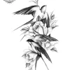 tatouage ephemere avant bras oiseau Tatouage éphémère avant bras oiseau