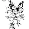 tatouage ephemere avant bras papillon Tatouage éphémère avant bras papillon
