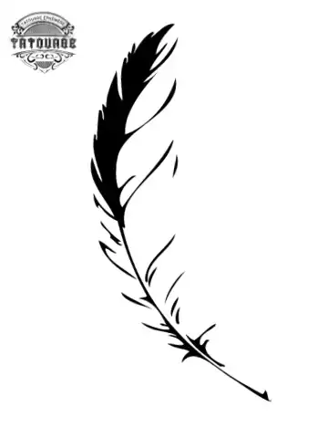 tatouage ephemere avant bras plume Tatouage éphémère avant bras plume