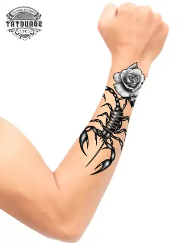 tatouage ephemere avant bras scorpion photo Tatouage éphémère avant bras scorpion
