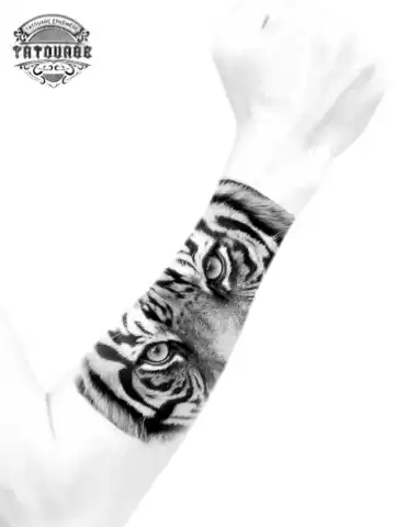 Tatouage éphémère avant bras yeux de tigre